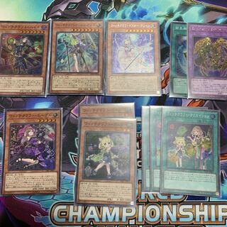 遊戯王ウィッチクラフトデッキパーツ