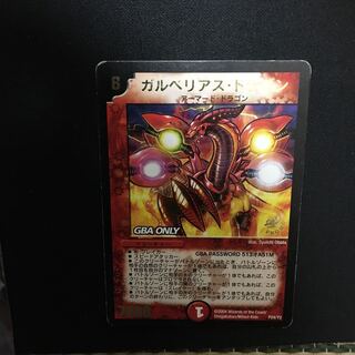 Gulberias dragon (fish)