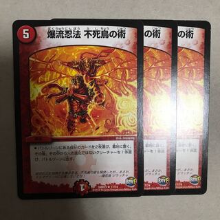 爆流忍法 不死鳥の術