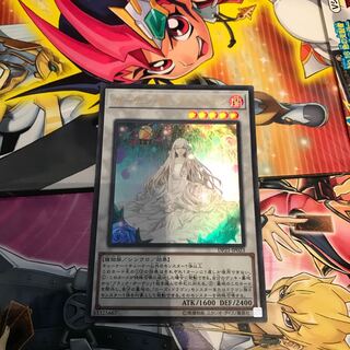 ガーデン・ローズ・メイデン