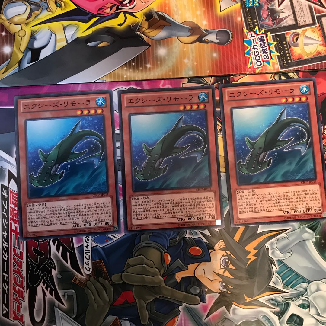 エクシーズ・リモーラ