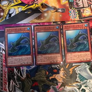 エクシーズ・リモーラ