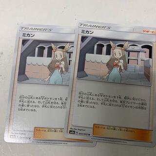 ミカン2枚セット 2枚