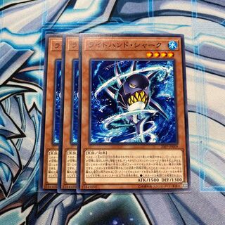 ライトハンド・シャーク N