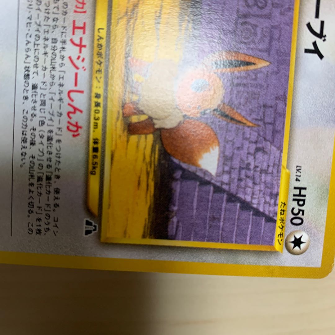 イーブイ　旧裏