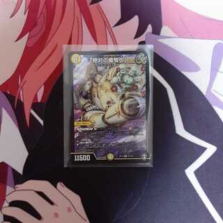 「絶対の楯騎士」