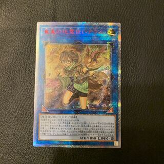 はいど様専用崔嵬の地霊使いアウス 20thSE