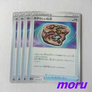 めずらしい化石 4枚 s3 ムゲンゾーン【もる】