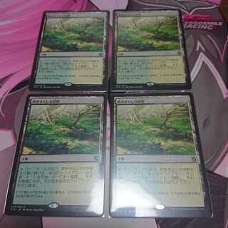 吹きさらしの荒野 4枚