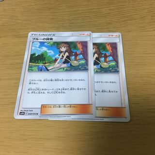 ブルーの探索 2枚セット