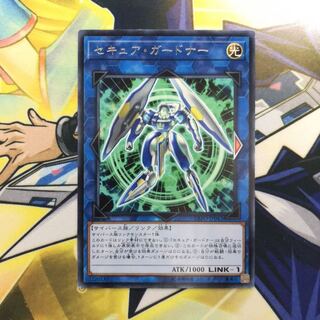 セキュア・ガードナー R 1枚