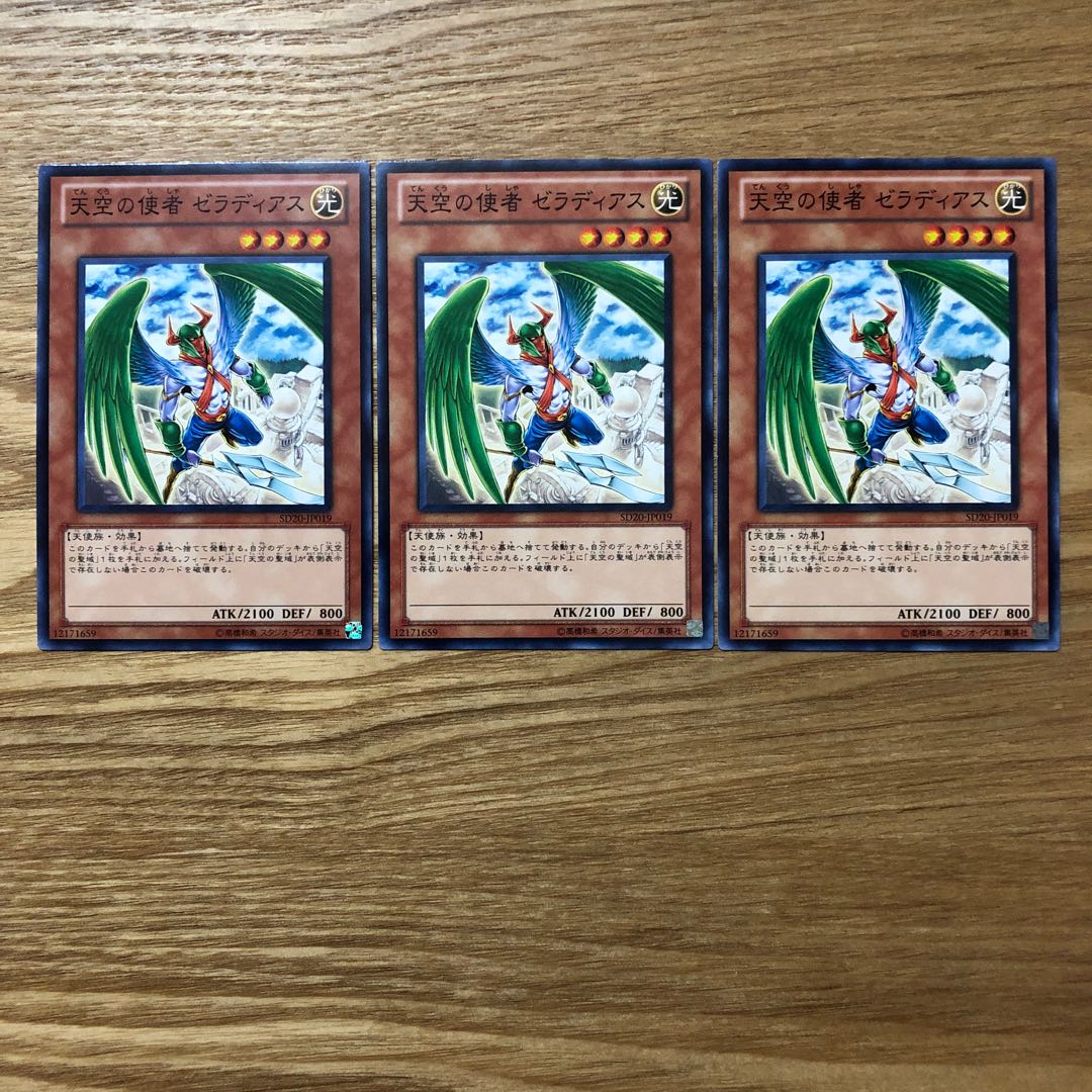 天空の使者 ゼラディアス N