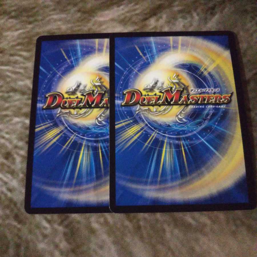 「絶対の楯騎士」 SR