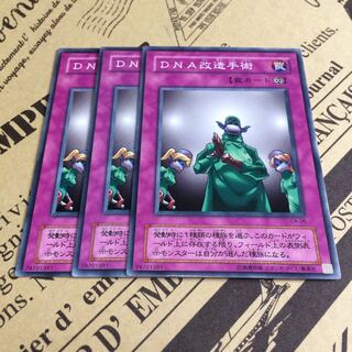 DNA改造手術【N】