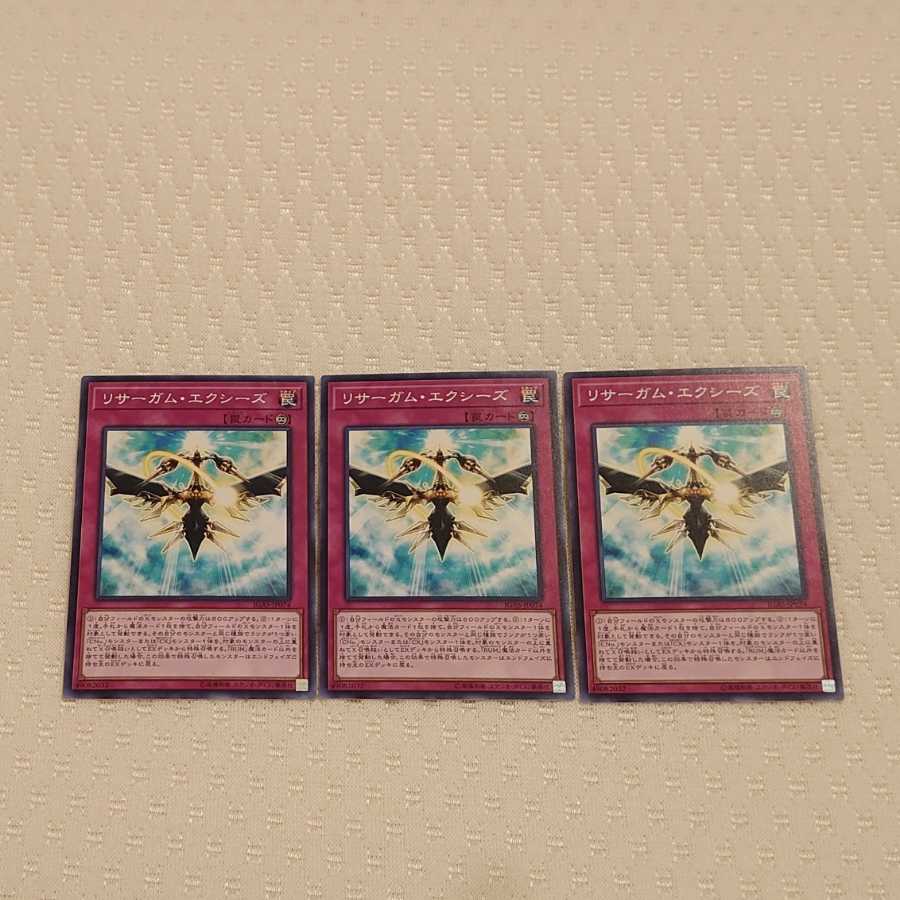 リサーガム・エクシーズ