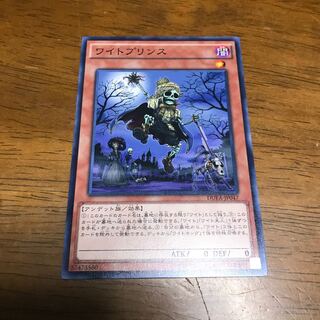 ワイトプリンス NR fdkj1920