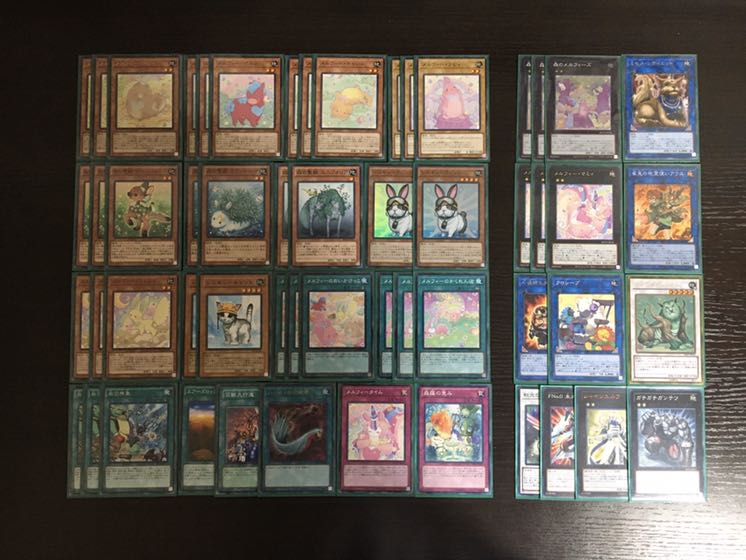 本格構築!!  メルフィーデッキ