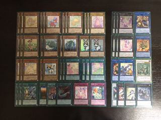 本格構築!!  メルフィーデッキ