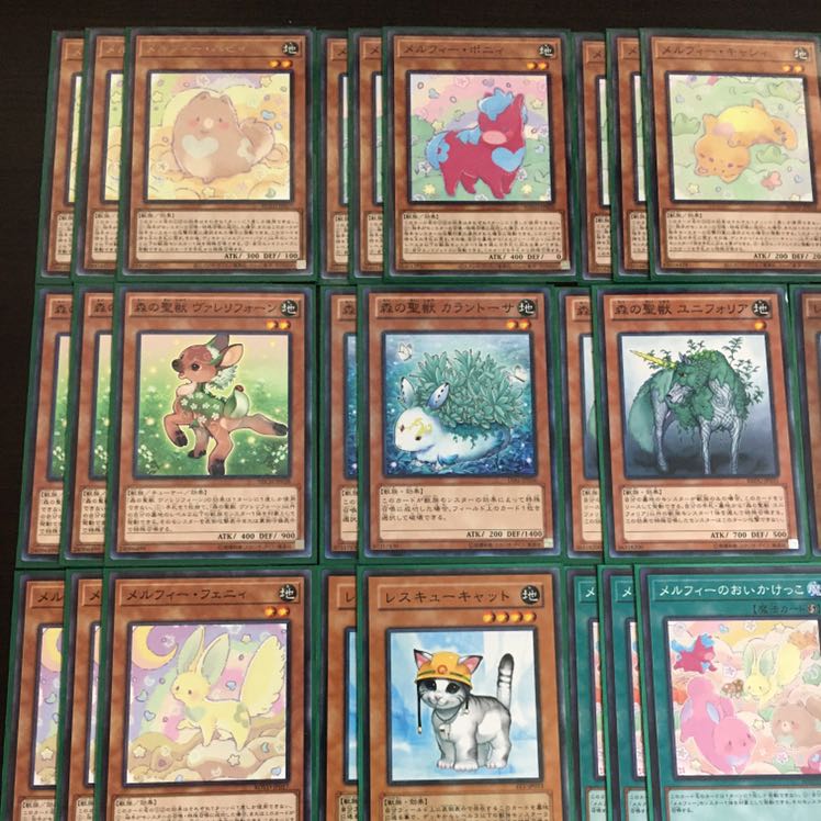 本格構築!!  メルフィーデッキ