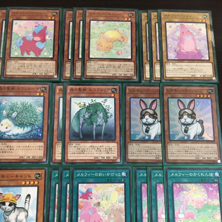 本格構築!!  メルフィーデッキ