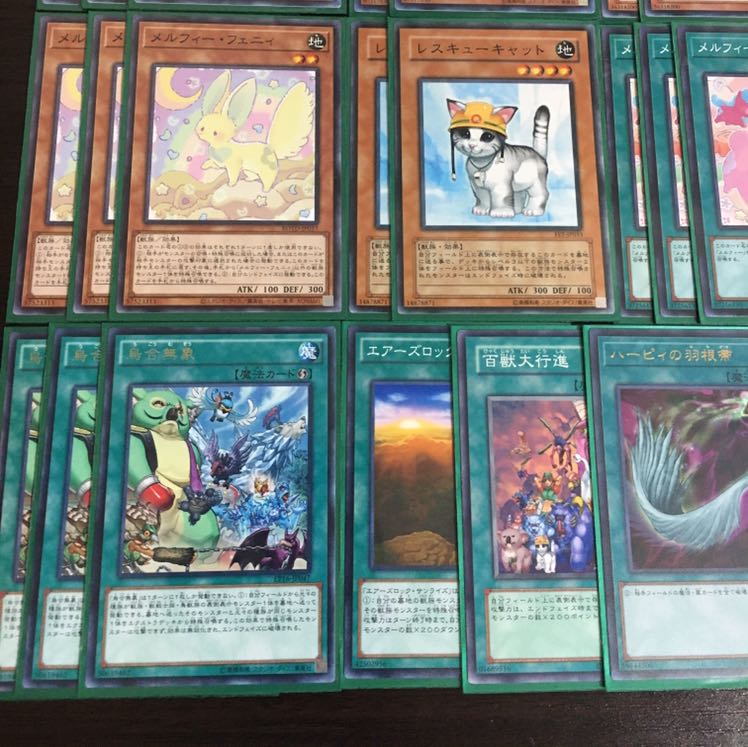 本格構築!!  メルフィーデッキ