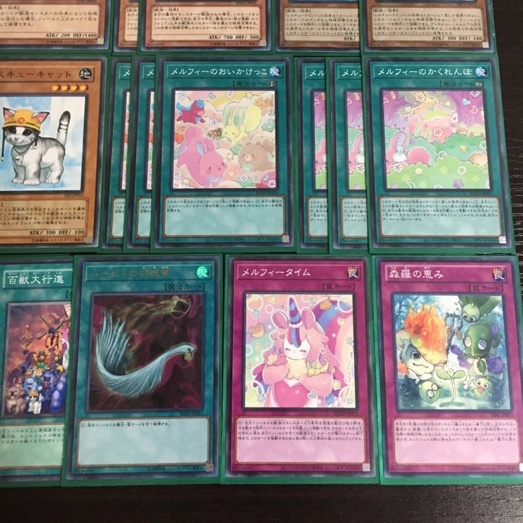 本格構築!!  メルフィーデッキ