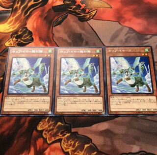 ホップ・イヤー飛行隊