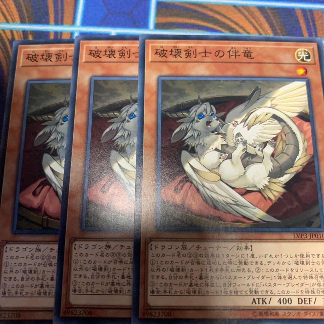 破壊剣士の伴竜