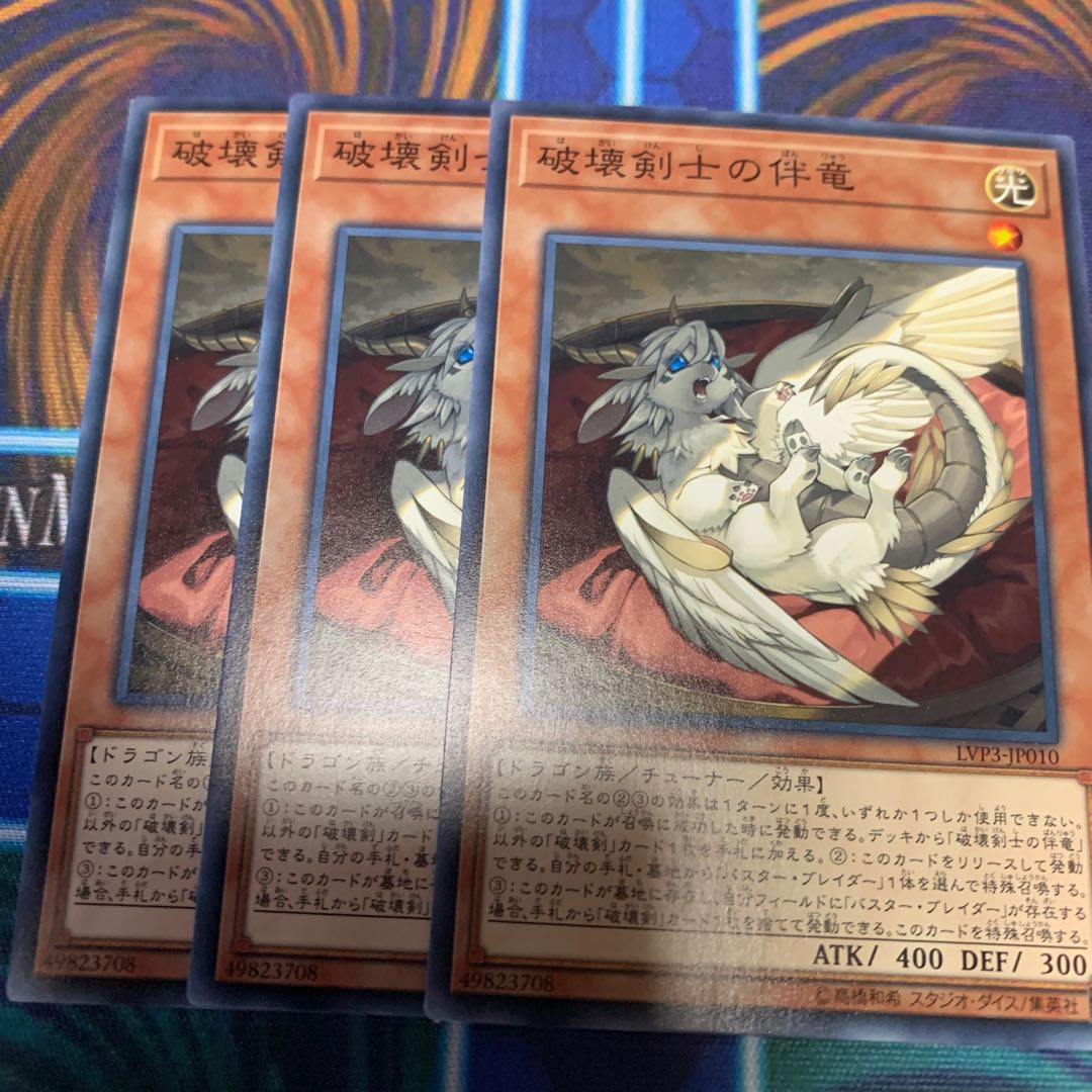 破壊剣士の伴竜