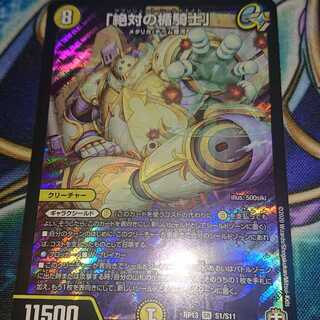 「絶対の楯騎士」