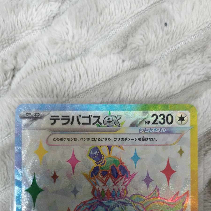 Terrapagos ex SR 122/102