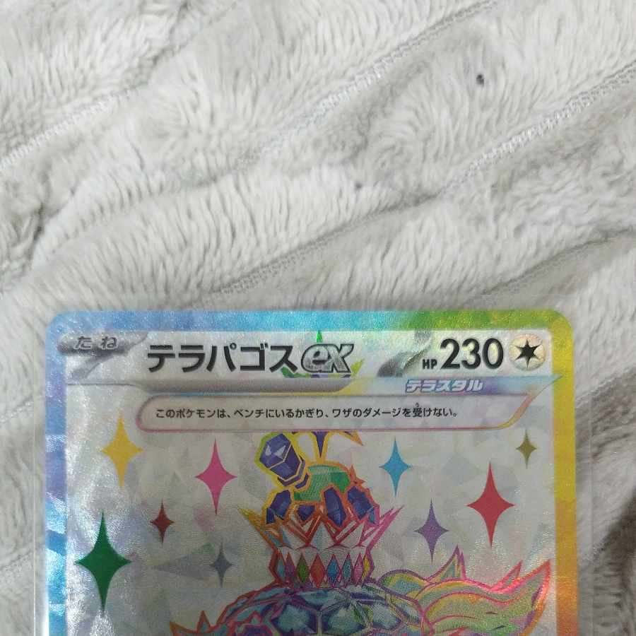 Terrapagos ex SR 122/102