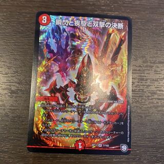 瞬閃と疾駆と双撃の決断