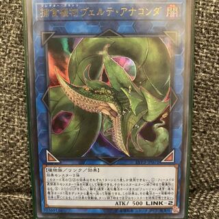 捕食植物ヴェルテ・アナコンダ UR