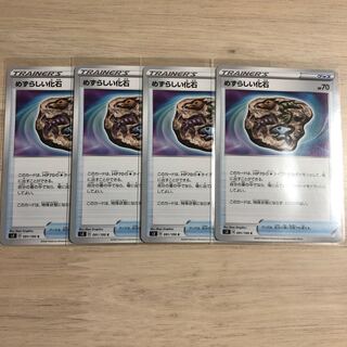 めずらしい化石