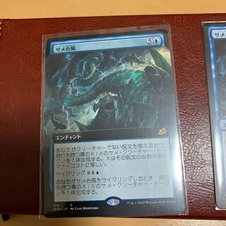 サメ台風 レア　拡張＋通常