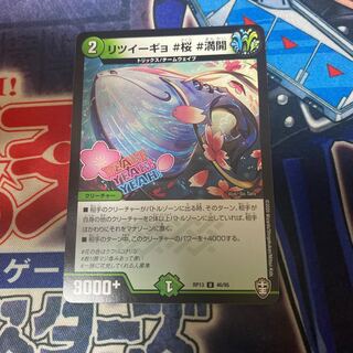 Ritsuigyo #Cherry Blossoms #Full Flowering