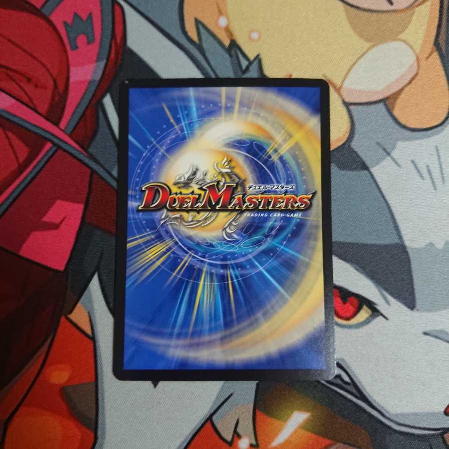 勝利龍装 クラッシュ“覇道” S