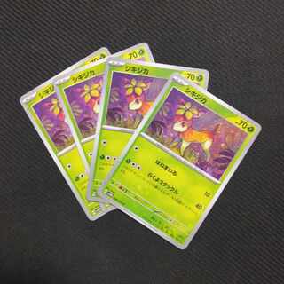 シキジカ C 008/071