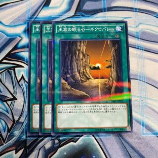 王家の眠る谷-ネクロバレー P-N