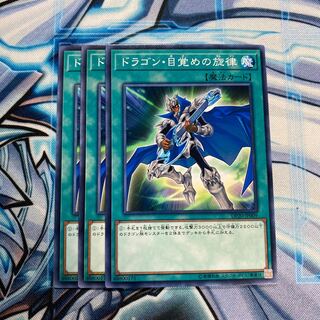 ドラゴン・目覚めの旋律 N