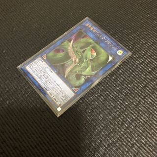 捕食植物ヴェルテ・アナコンダ UR