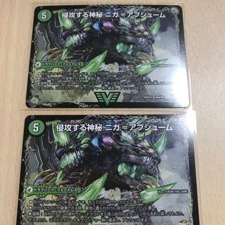 ニガ＝アブシューム ニガ＝ヴェルムート 1枚 1枚