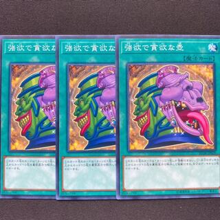 強欲で貪欲な壺　3枚セット