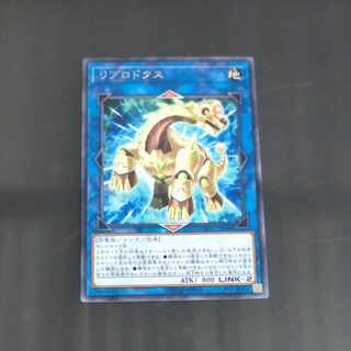 Reprodocus Rare JP048 [Mokurindo