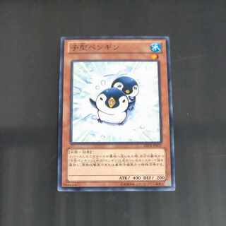 子型ペンギン ノーマルレア JP037　【木林堂】