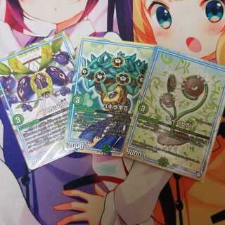 スカップ パキラキ ワイラビ2枚セット