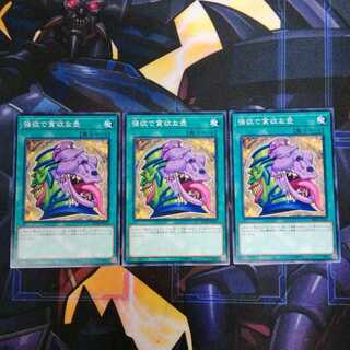 遊戯王　強欲で貪欲な壺　ノーマル　3枚