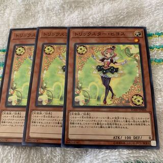 トリックスター・ヒヨス　専用