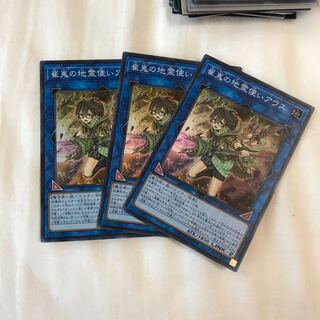 崔嵬の地霊使いアウス